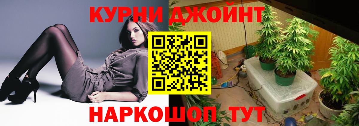 Марихуана план  Шишки марихуана сатива  Конопля White Widow  Донской  Вход с VPN 